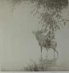 Image description is not available for DU1947.25